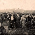 producteur vin faugères