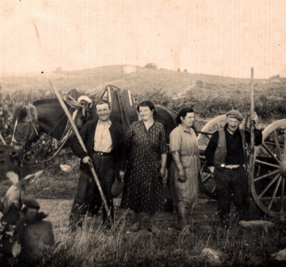 producteur vin faugères