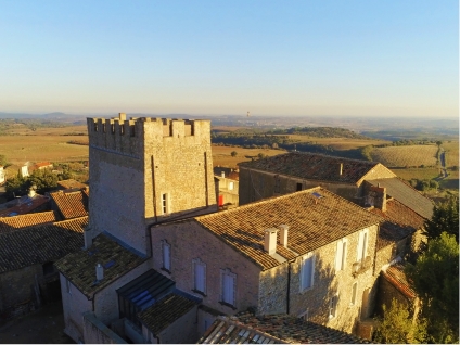 domaine viticole occitanie