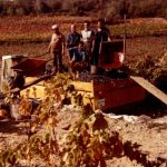 vin conviction caussiniojouls